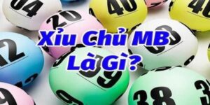 Thông tin thú vị về xỉu chủ miền Bắc